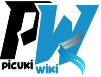 Picuki.Wiki